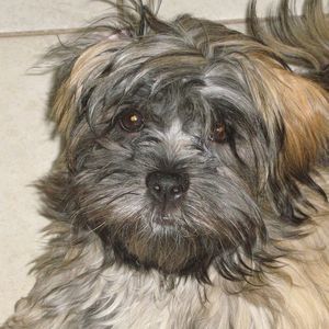 Meet your Posher, Donna